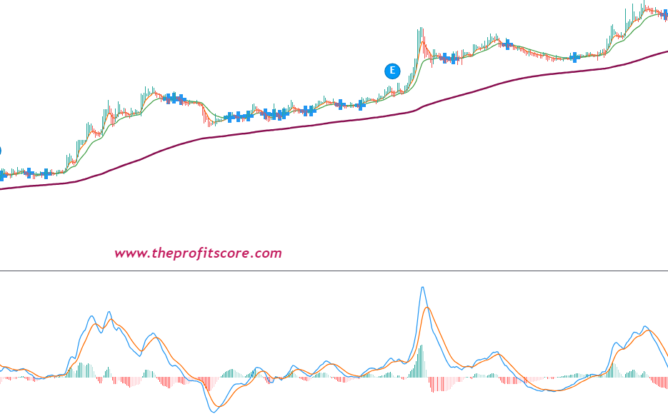 Trend following in profitable forex trades